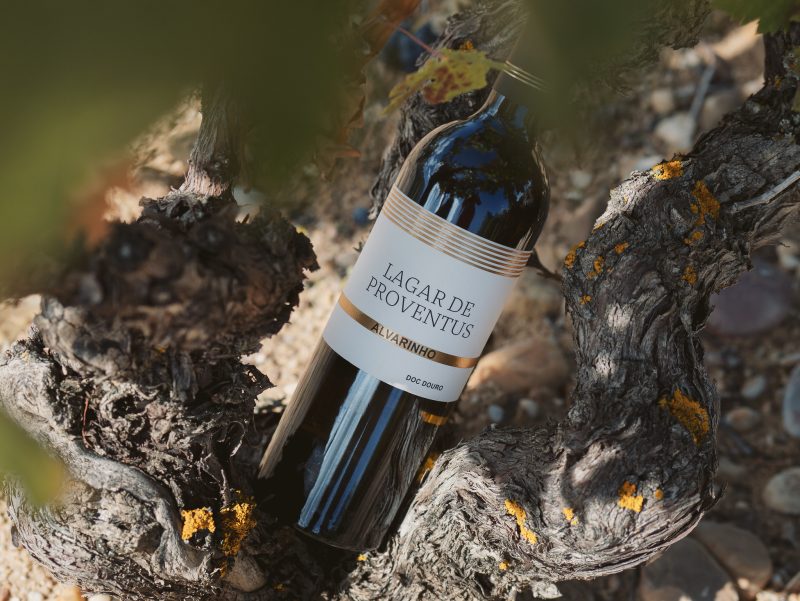 Vino Lagar de Proventus Tr3smano Alvarinho